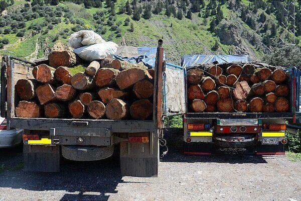 خبرنگاران کشفیات چوب جنگلی قاچاق در خلخال افزایش یافت