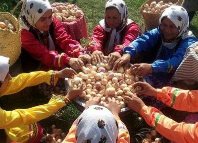 زنان مازندرانی؛ تولیدکننده محصولات ارگانیک