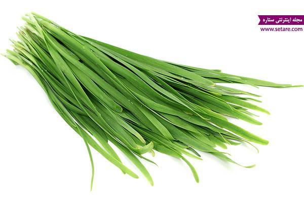 خواص تره در طب سنتی خواص تره در طب سنتی