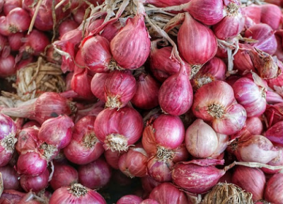 تفاوت موسیر با سیر و خواص آن