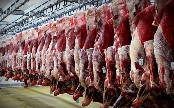 رکورد فراوری گوشت توسط عشایر شکسته شد