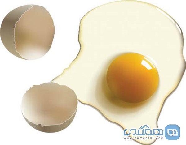بهترین روش طبخ و خوردن تخم مرغ بهترین روش طبخ و خوردن تخم مرغ