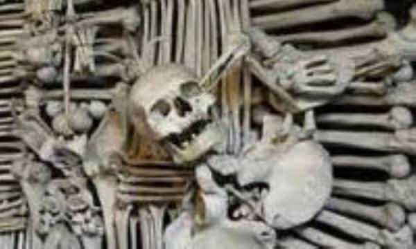 استخوان های تزئینی ترسناک