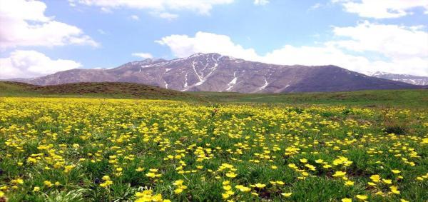 پارک ملی لار؛ جلوه ای از بهشت در همسایگی مرکز