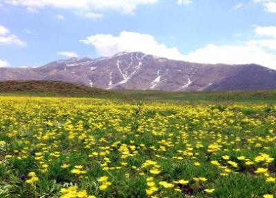 پارک ملی لار؛ جلوه ای از بهشت در همسایگی مرکز