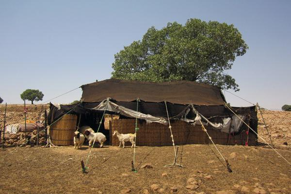 صنایع دستی بافتنی کهن؛ ناگفته هایی از صنایع دستی کهن منطقه کرمانشاه (بخش اول)