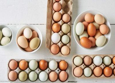 50 نکته راهنمای خرید تخم مرغ ، واقعا تخم مرغ محلی از صنعتی بهتره؟